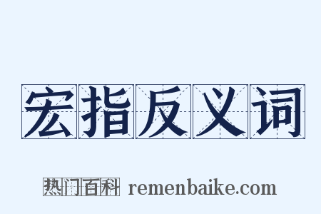 宏指反义词是什么意思的图片